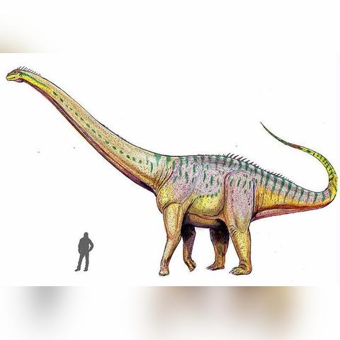 探秘恐龙时代:《遗失的世界2》国语版高清影片解析与最佳观看指南 探秘恐龙时代:《遗失的世界2》国语版高清影片解析与最佳观看指南