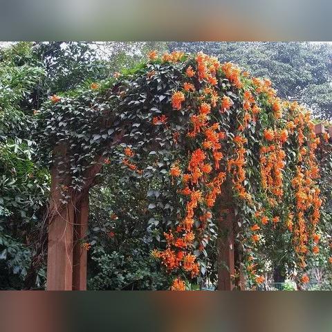 (小品梦幻家园动画版)2008年梦幻家园小品视频，欢乐搞笑精彩不容错过