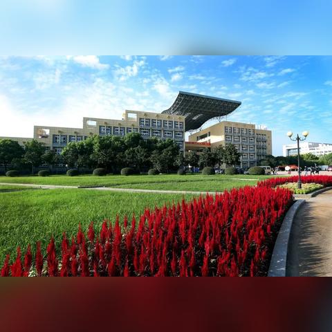 挖掘无尽矿藏，探索一层层挑战：如何在有个挖矿是一层一层的游戏中达成目标