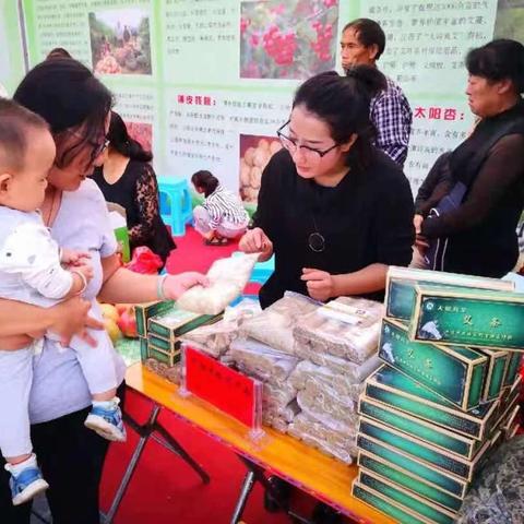 (西游仙魔传无限元宝版)探寻西游仙魔传官方网站入口，畅游古今仙魔奇遇