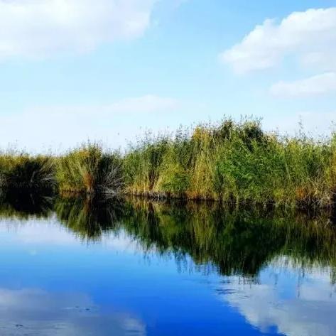 《牧剑2》：全新世界探索之旅，精彩剧情引人入胜，挑战无限可能性！