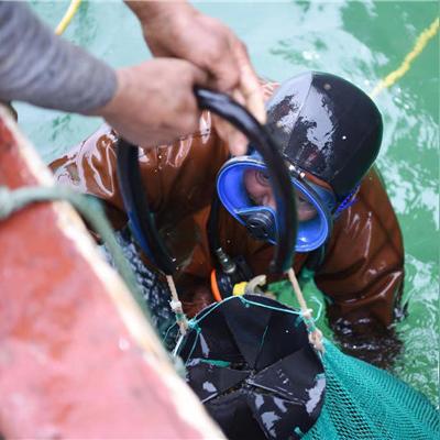 《牧剑2》:全新世界探索之旅,精彩剧情引人入胜,挑战无限可能性! 《牧剑2》:全新世界探索之旅,精彩剧情引人入胜,挑战无限可能性!