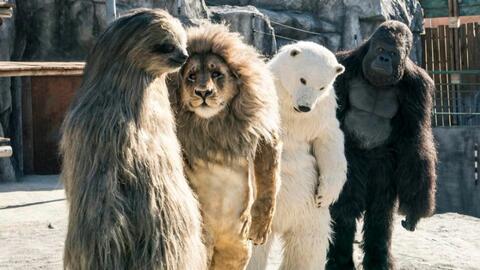 (多多小灵猪是真的吗)多多四灵族：神秘的生物王国，隐藏在幽深的森林之中