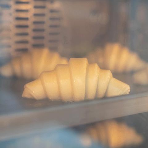 (梦回传奇3.1)探寻传奇：梦回山海脚本揭秘，带你踏上神秘探险之旅