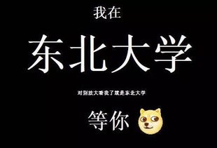 从容打败挑战,掌握异常升级攻略,迈向成功之路 从容打败挑战,掌握异常升级攻略,迈向成功之路