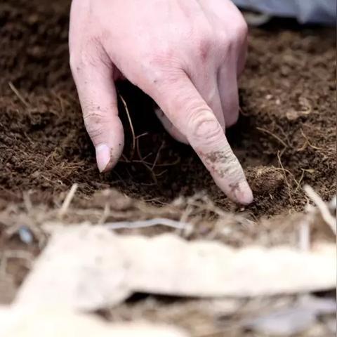 (疯狂传送门无限金币钻石版)疯狂传送门安卓：探秘新世界，体验跨越时空的刺激冒险之旅