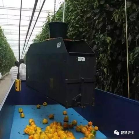 (疯狂传送门无限金币钻石版)疯狂传送门安卓:探秘新世界,体验跨越时空的刺激冒险之旅 (疯狂传送门无限金币钻石版)疯狂传送门安卓:探秘新世界,体验跨越时空的刺激冒险之旅