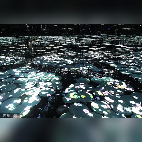 (空想森林第几集)探寻空想森林背后的真实故事:隐藏在幻想中的秘密 (空想森林第几集)探寻空想森林背后的真实故事:隐藏在幻想中的秘密