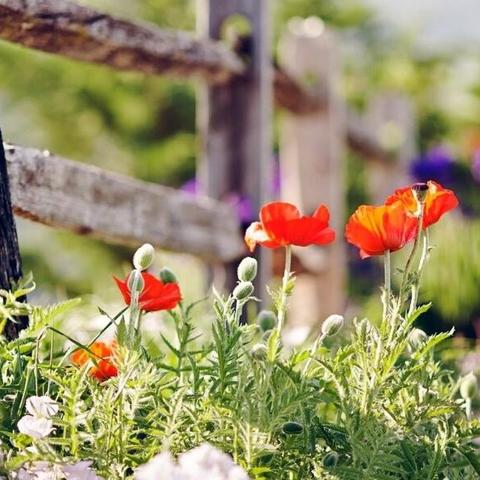 深度解析：冒险与征服攻略单机游戏，勇者技能选择与最强阵容优化策略详细指南