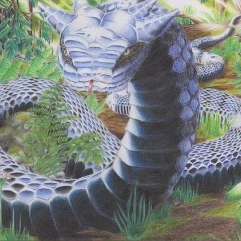 (异界修真-山海经)穿越异界修真：探秘神秘山海经，迎战无尽异兽挑战