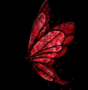 (血蝶什么意思)深入探讨血蝶的隐喻和象征意义