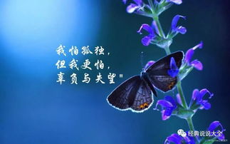 (血蝶什么意思)深入探讨血蝶的隐喻和象征意义