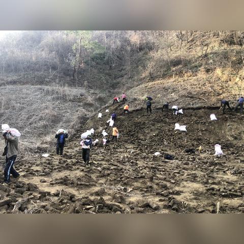 (阳春艺曲歌曲全部)完整解锁版！阳春艺曲歌曲全资源包含，尽享经典曲目无遗漏