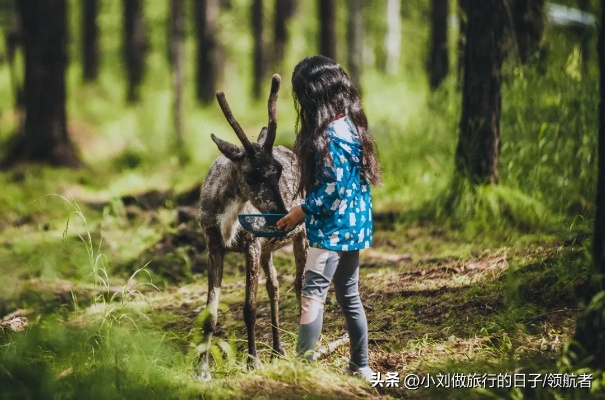 (麋鹿语音百度百科)麋鹿物语:我们的冒险旅程 (麋鹿语音百度百科)麋鹿物语:我们的冒险旅程