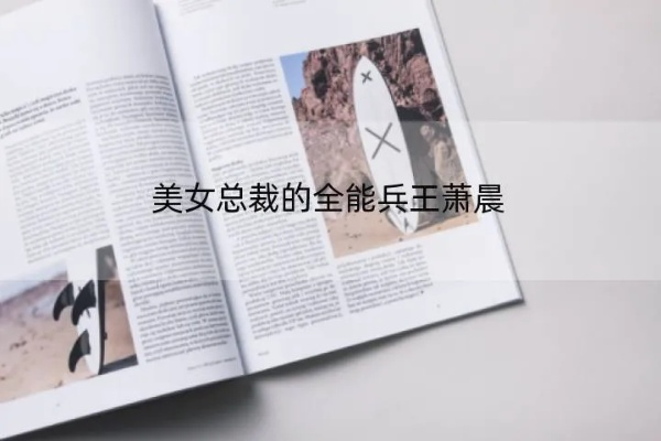 全能总裁的全能兵王萧晨：一人兼具商界智慧与战场英勇的传奇人物