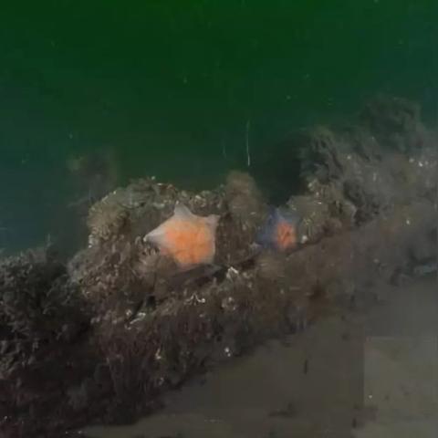 (文明6 遗迹)如何有效地收集文明6遗迹资源？