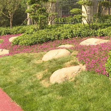 (口袋48iphone版)口袋48 iOS版下载：最新版本免费安装，精彩音乐演出随身携带