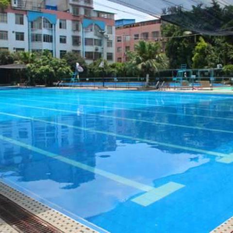 (植物总动员完整版)植物总动员老版本：重温经典的绿色之夜