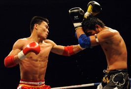 (2021搏击比赛)决战荣耀:探寻中国职业搏击赛事的精彩之处 (2021搏击比赛)决战荣耀:探寻中国职业搏击赛事的精彩之处