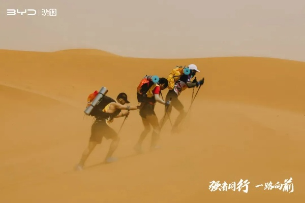 (勇士之旅)探索未知：勇士与旅途的刺激征程