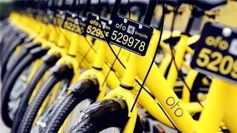 为了更好保护骑行者，北京小黄车将在冬季增配挡风手套，助力骑行者抵御寒冷