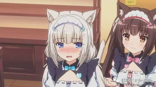 (姬神音乐)姬音觉醒到底讲了什么？揭秘本子中的黑暗秘密与真相