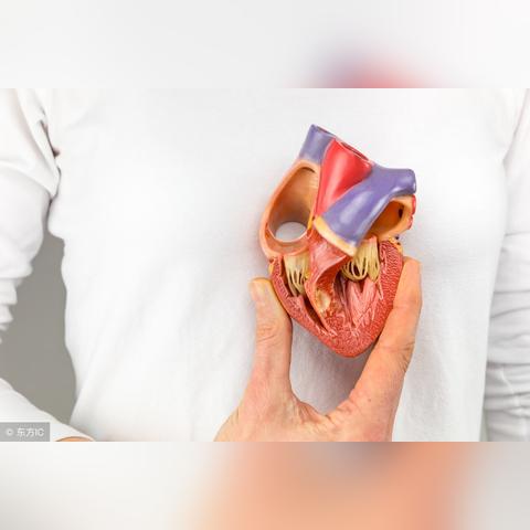 (运动员甘油)镜头下的胸前曝光照片展示出完美的曲线和神秘的魅力