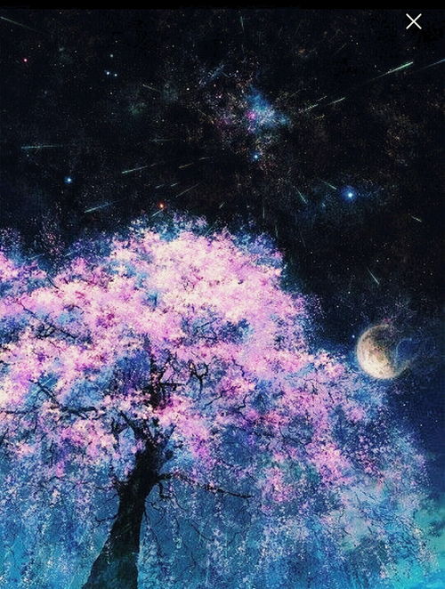 史小坑的浪漫之旅：花前月下，无限钻石璀璨闪耀，梦幻现实夹缝中的恋爱故事