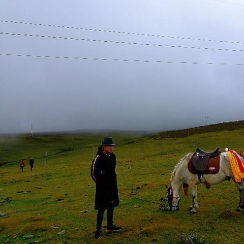 探秘原始森林:讲述冲啥原始人猴哥带足了何种装备才能在残酷的野外生存下来 探秘原始森林:讲述冲啥原始人猴哥带足了何种装备才能在残酷的野外生存下来