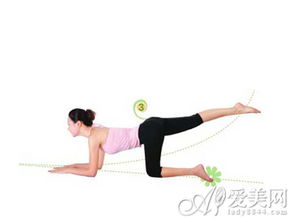 每天只需15分钟,轻松练习养生体操与五行健康体操,提升身体活力与免疫力! 每天只需15分钟,轻松练习养生体操与五行健康体操,提升身体活力与免疫力!