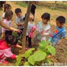 (地鼠传奇(高爆送无限))地鼠传奇满v版：探索地下世界，战胜怪物，解锁传奇装备！