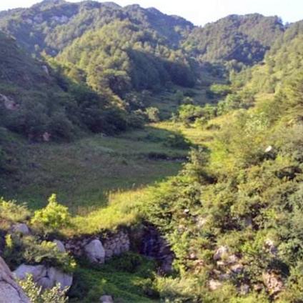 (天空之战图片)天空之战动漫：揭开空中战争的神秘面纱与壮丽场景