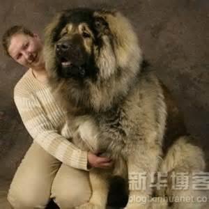 (office序列号怎么查)如何查看Office2003序列号？快速了解办公软件序列号的查看方法