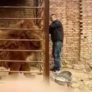 (家养可爱宠物排名)萌宠养什么好？探索适合家庭的可爱宠物及其饲养技巧