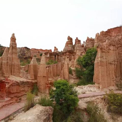 (原始蛮荒时代)探索‘原始蛮荒’的深刻含义及其在文化与自然中的象征意义