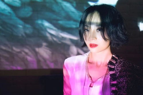 安苏羽歌曲大全：收录最完整的安苏羽音乐作品，让您畅听她的动人嗓音