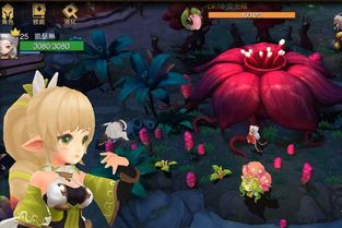 神秘魔法与喵喵共舞：揭秘西之国喵喵魔法使的独特魔法与勇敢冒险