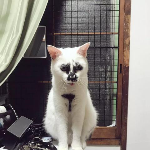 (天书奇谈还有吗)天书奇谈手游下架了吗？探讨游戏下架原因及未来发展趋势