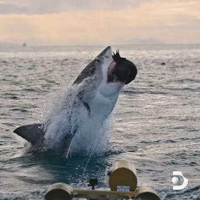 俄军在战场上广泛使用诱饵无人机，提升战斗策略与防御能力的背后原因分析