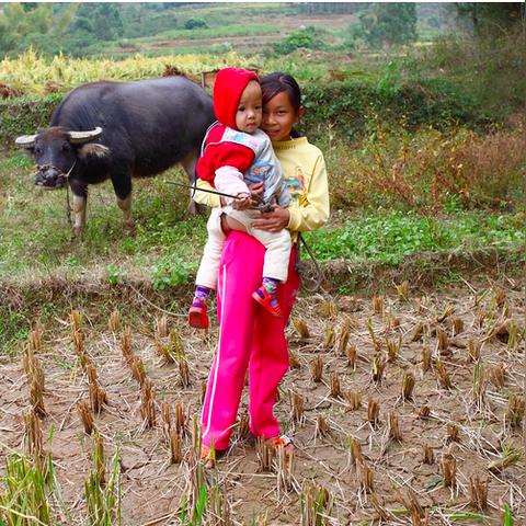 (仙的繁体字复制)探寻仙字繁体的神秘之谜：传统文化的珍贵遗产和无尽魅力