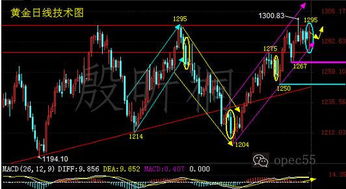 如何应对兽潮来袭:全面攻略与生存技巧,帮助你在危机中逆转局势 如何应对兽潮来袭:全面攻略与生存技巧,帮助你在危机中逆转局势