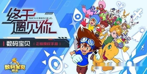 针对广大玩家疑问，揭秘数码宝贝相遇是否已经关服：原因、影响及相关补偿方案揭晓