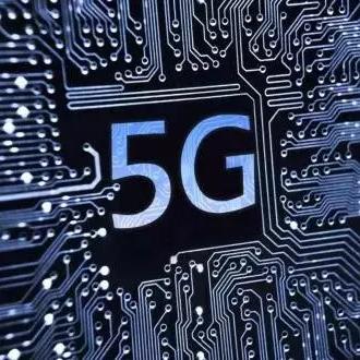 (观察和感受自然万物的生命形象)遇见作文600字：如何通过自然观察技巧将万物生活化为文字