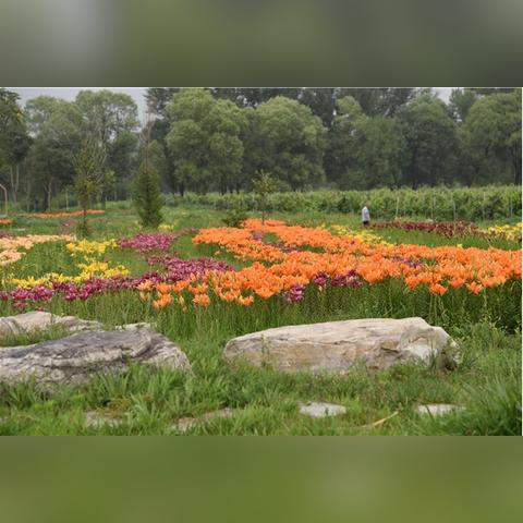 (颜料画彩色)用颜料将全身彩绘：一场自我表达的饕餮盛宴