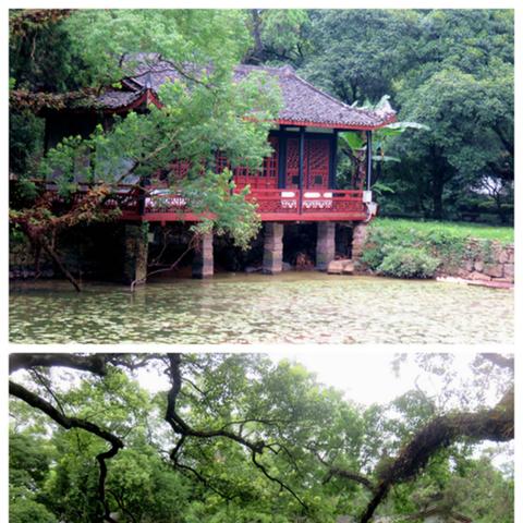 王国保卫战4:折相思最新版本大解析,深度探讨全新剧情设定与游戏玩法升级 王国保卫战4:折相思最新版本大解析,深度探讨全新剧情设定与游戏玩法升级