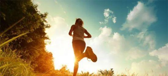 (奔跑的蜗牛!)奔跑的蜗牛作品：一个励志故事，展示坚持与奋进的力量