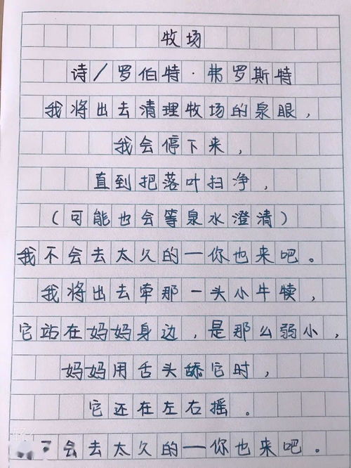 探索人类心灵:以治愈为主题的作文800字,从心灵深处感悟情感疗愈的力量 探索人类心灵:以治愈为主题的作文800字,从心灵深处感悟情感疗愈的力量