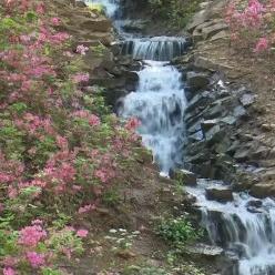 天天消消消：乐在其中，乐无边，乐享生活，快乐相伴，消除烦恼，尽情畅玩