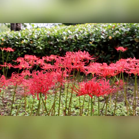 探索疯狂3+2:五彩缤纷的新世界,背后隐藏着无穷可能 探索疯狂3+2:五彩缤纷的新世界,背后隐藏着无穷可能