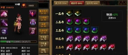 (神仙道法宝多少元宝一个)拓展：探讨神仙道法宝和至宝，哪个先弄才是最佳选择？